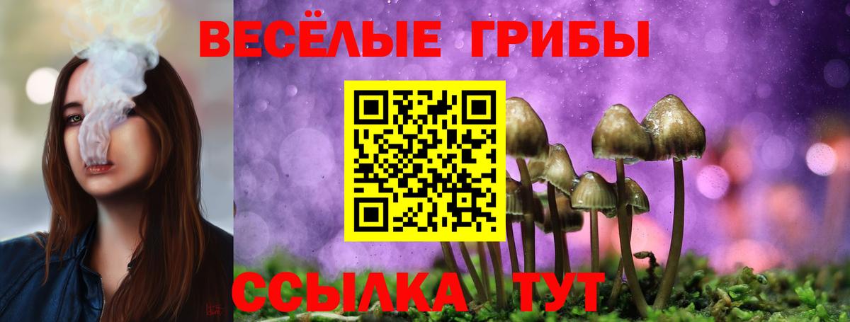 Псилоцибиновые грибы GOLDEN TEACHER  Вход с VPN  купить  сайты  Ижевск 